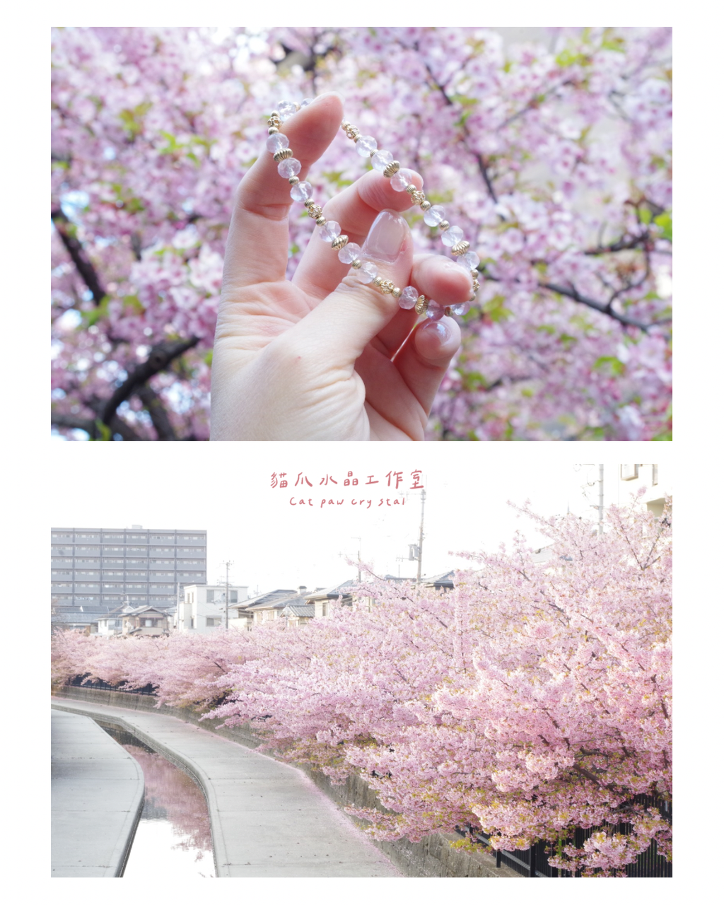 image_9C5C5CF3-CCBA-42FC-A0EE-D52206750B22_1775651601