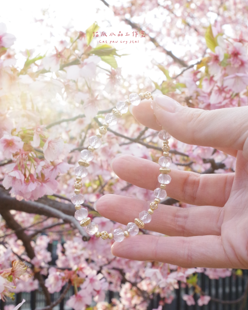 image_08582FCA-FECA-4405-88AA-317A319838FC_1775651601