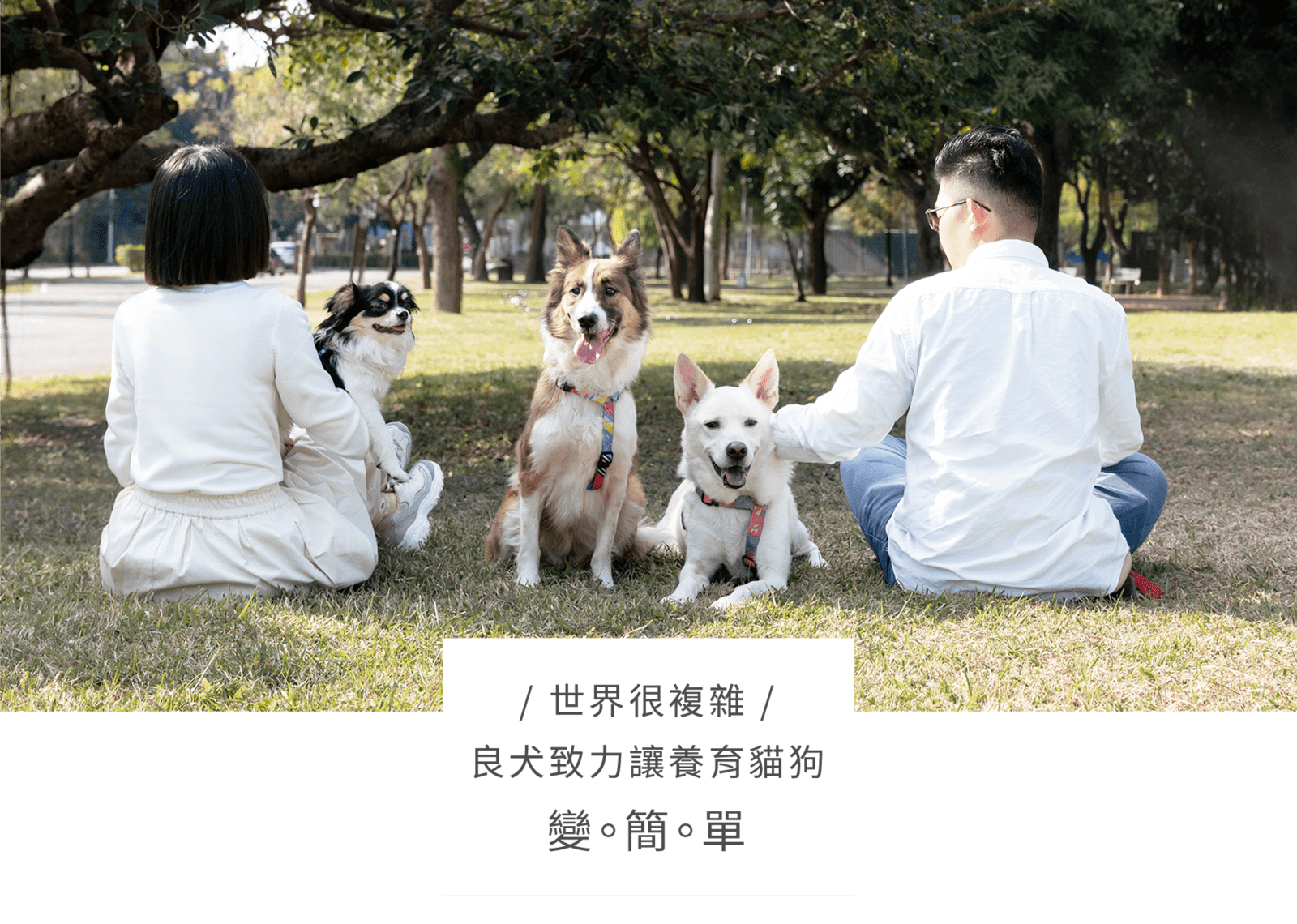 02about us_cut01