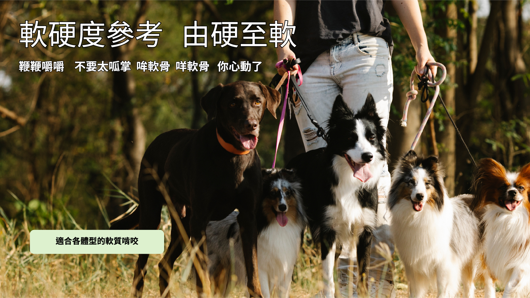 軟硬度參考-01
