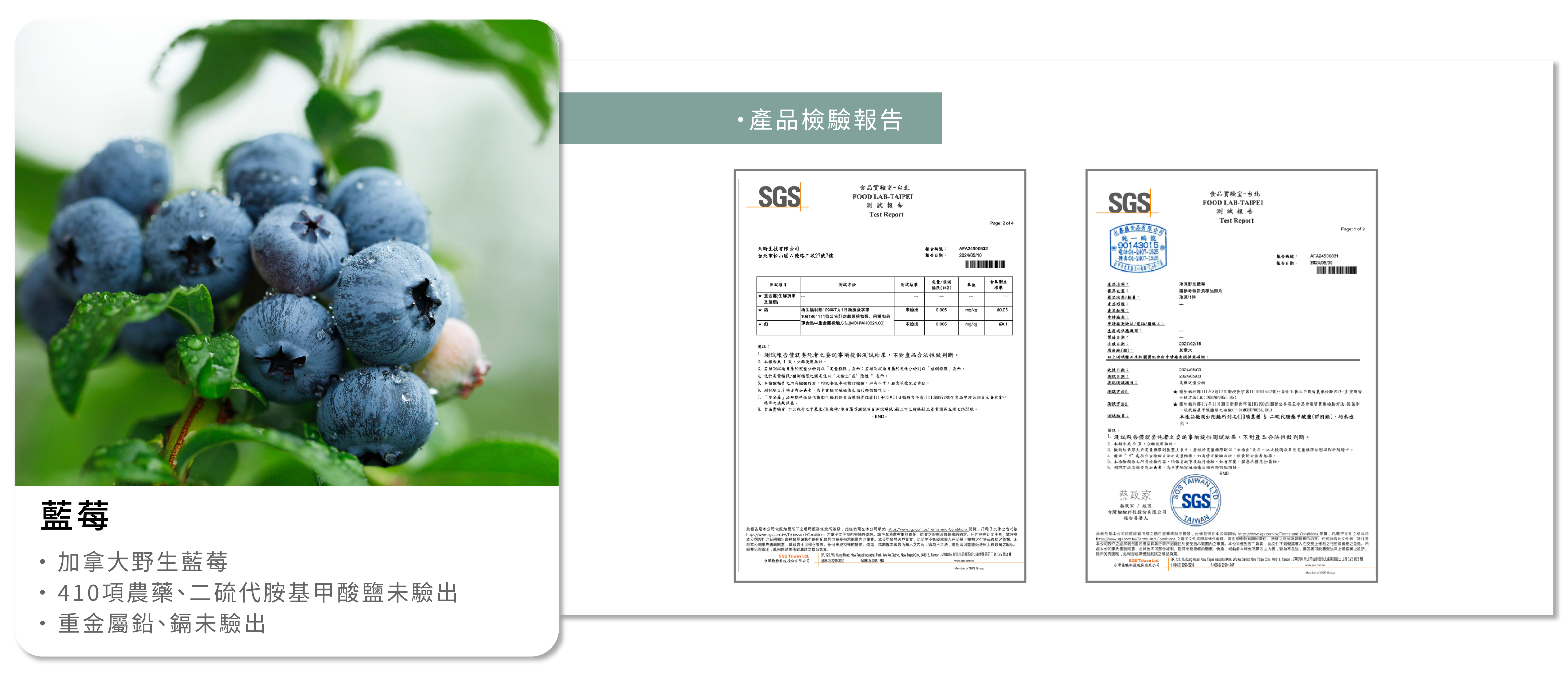 藍莓檢驗報告