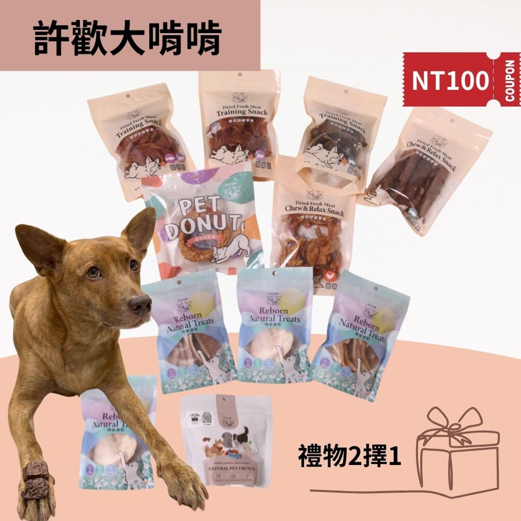你的段落文字