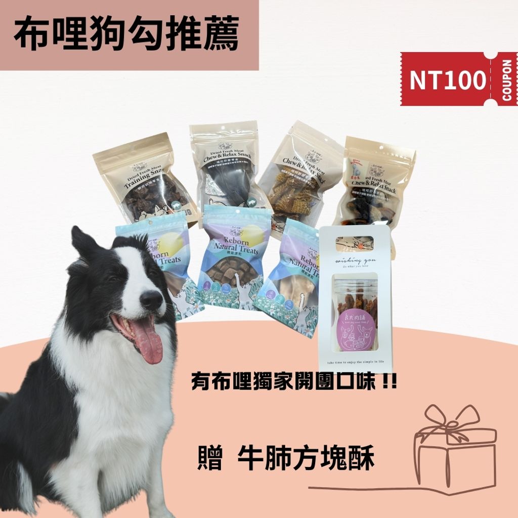 你的段落文字 (3)