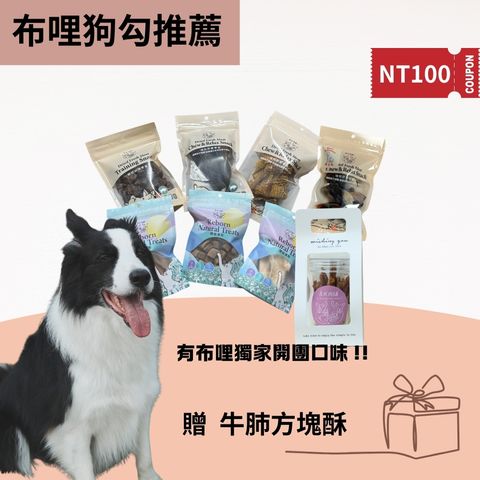 你的段落文字 (3)