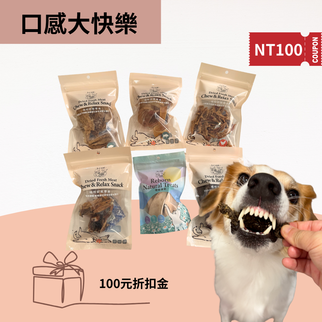你的段落文字 (1)
