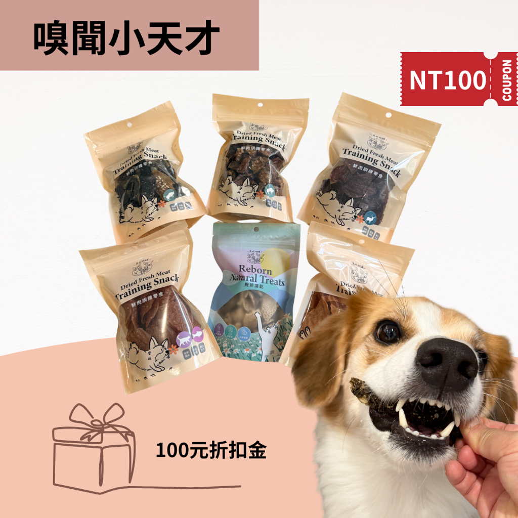 你的段落文字