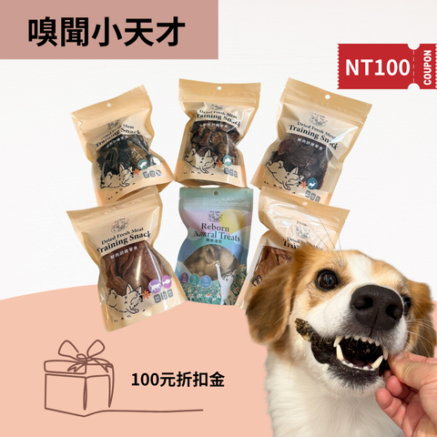 你的段落文字