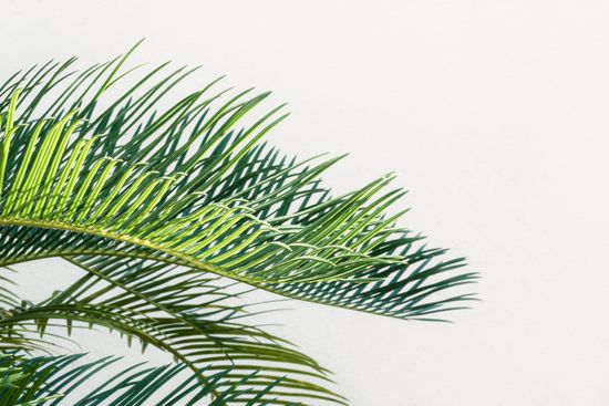  | Myplantpotter