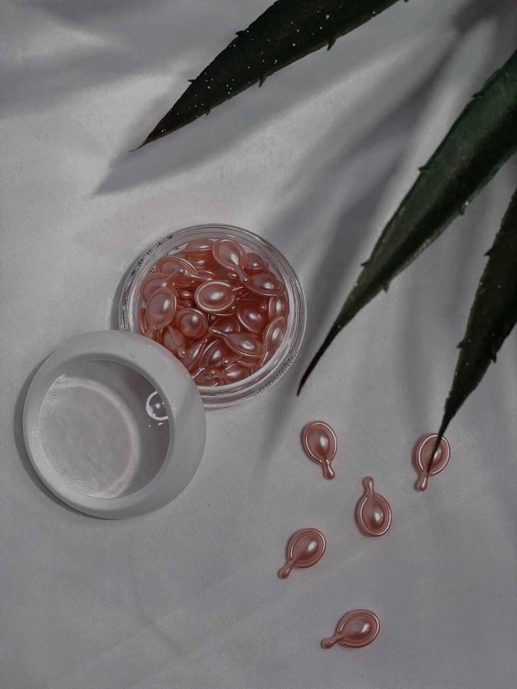 LINE_ALBUM_大團_240321_113