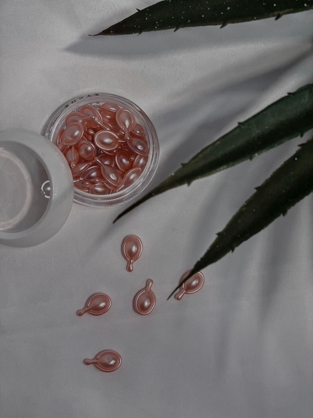 LINE_ALBUM_大團_240321_114