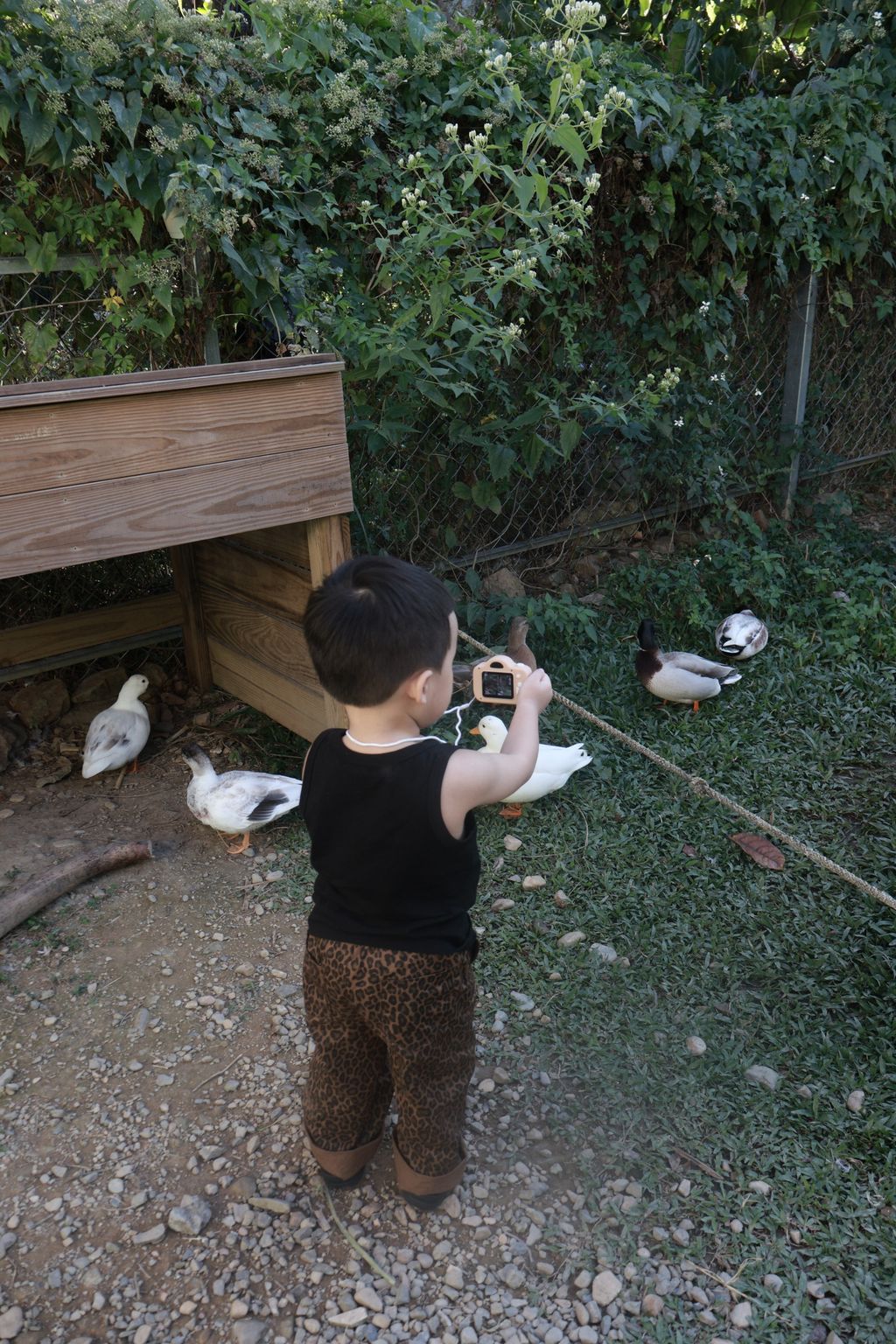 image_B97FBBD5-36AB-49FD-937C-FA11A9D41F0C_1765113445