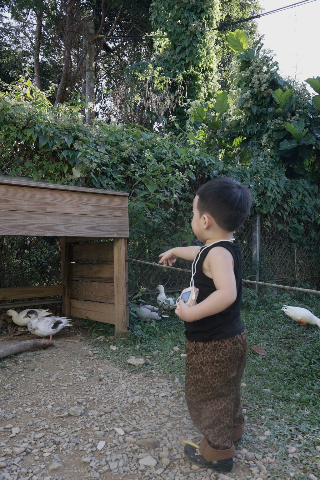 image_2D7C03C9-6C09-45A4-9B6C-A0D96451E8F5_1765113446