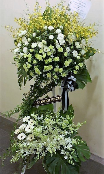 sym_daisy_orchids.jpg