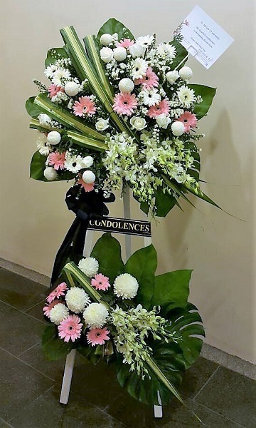 sym_daisy_chrysanthemum.jpg