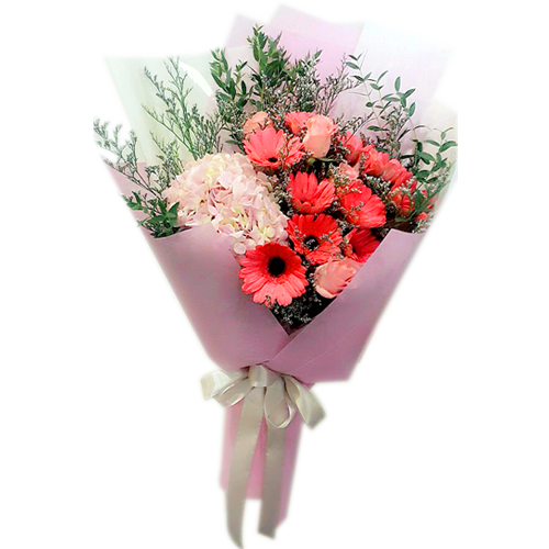 Red african daisy.png