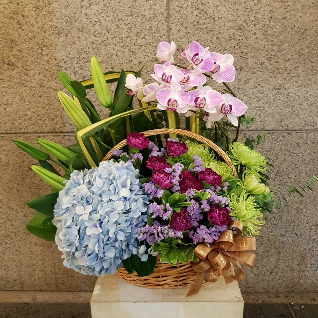 Abundance A1.jpg