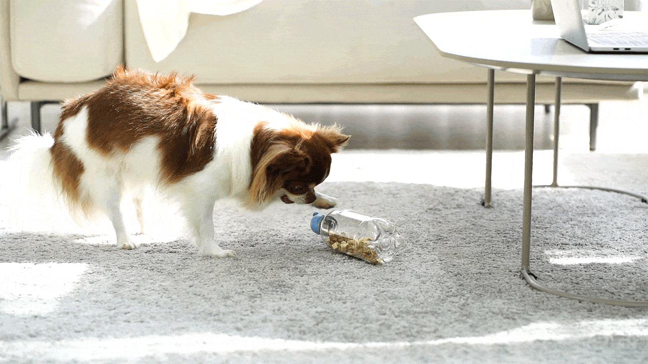 d8f87264e9fdf7e6aeeb9ff18b211ec4