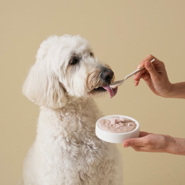 Arush | 韓國寵物選品店 | 本店主打 - 寵物食品