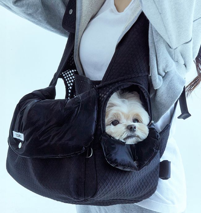 Arush | 韓國寵物選品店 | 本店主打 - 寵物外出