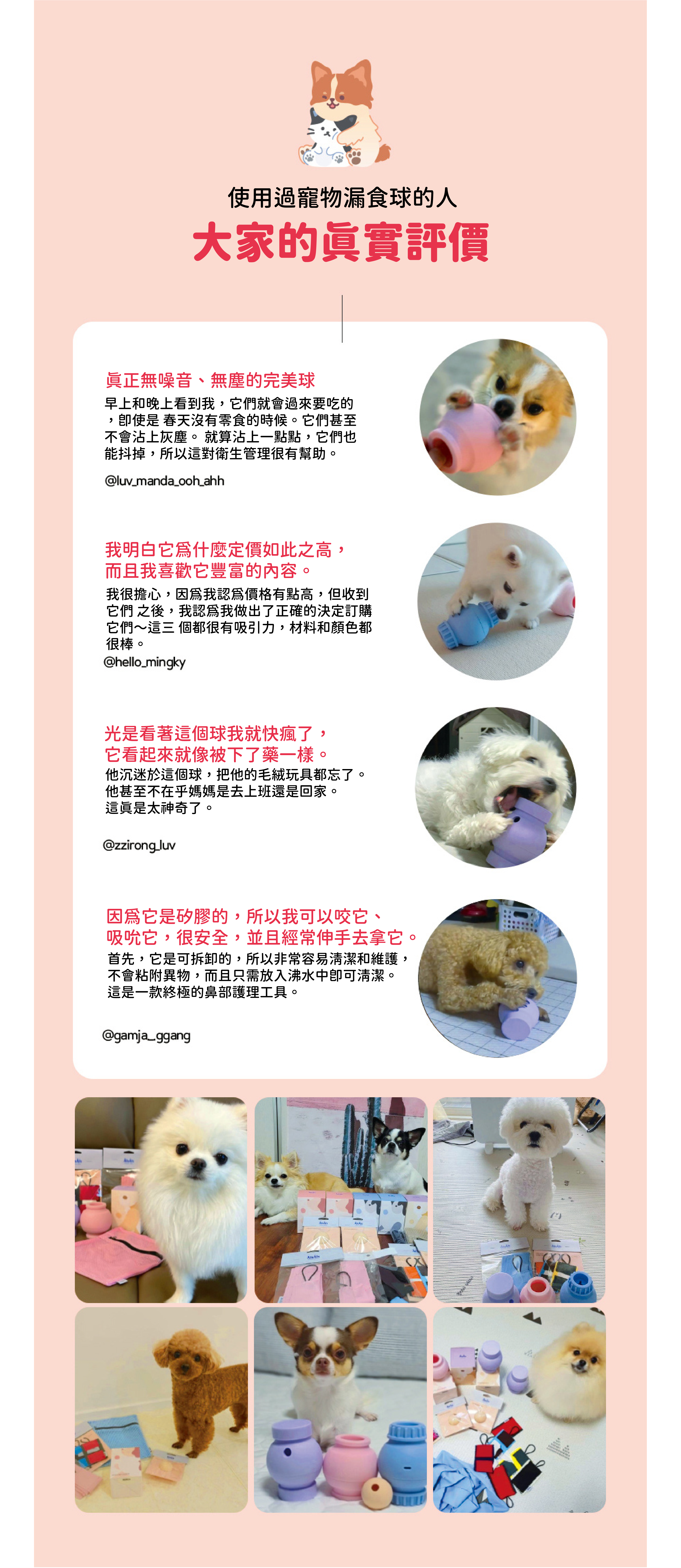 漏食球_工作區域 1