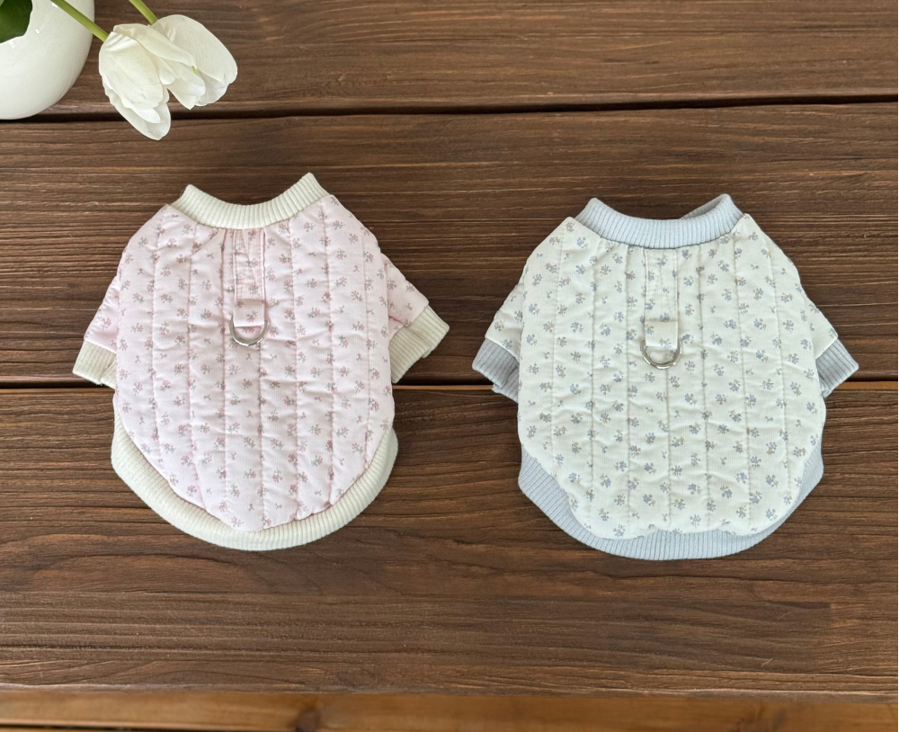 f1de9af62a48c5491b11cbacf11cc6c9