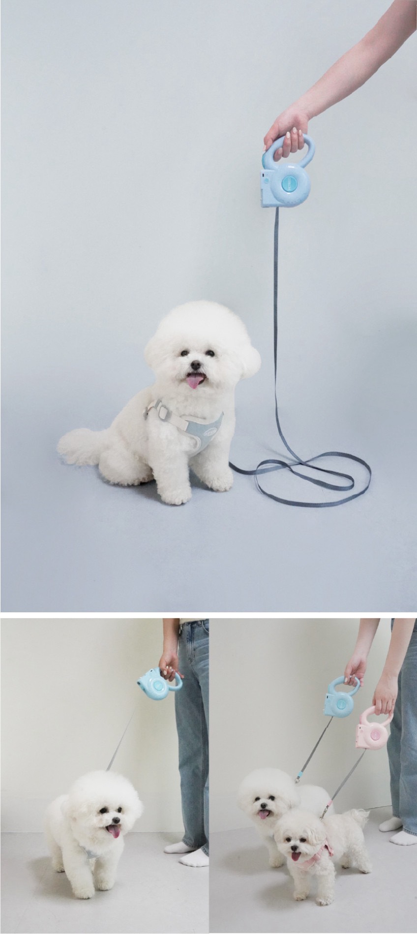 S__53534846_0