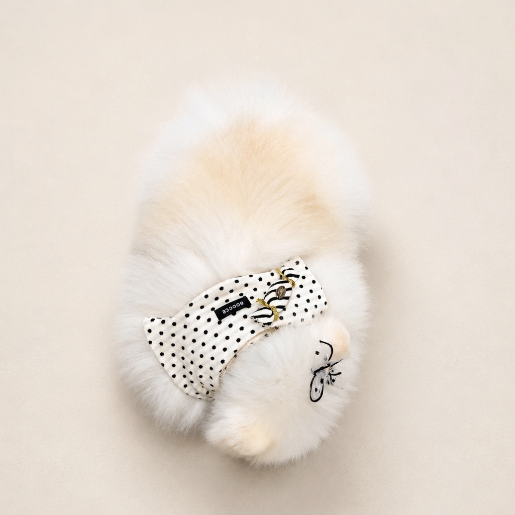 S__55205929_0