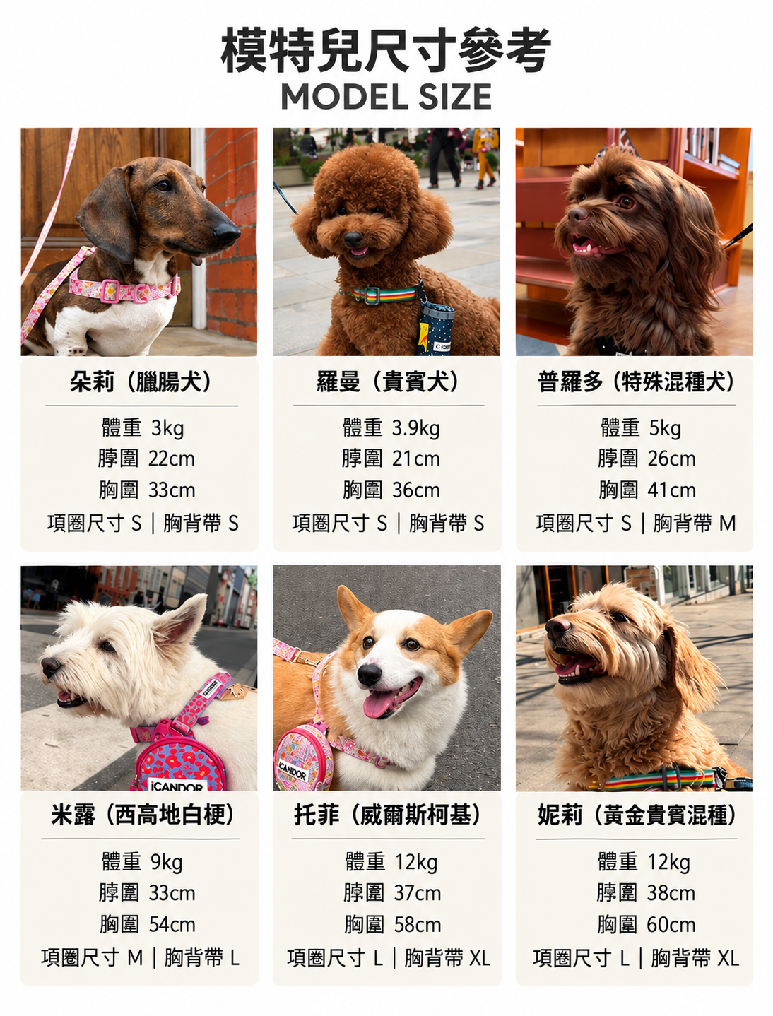 狗狗模特兒尺寸參考圖