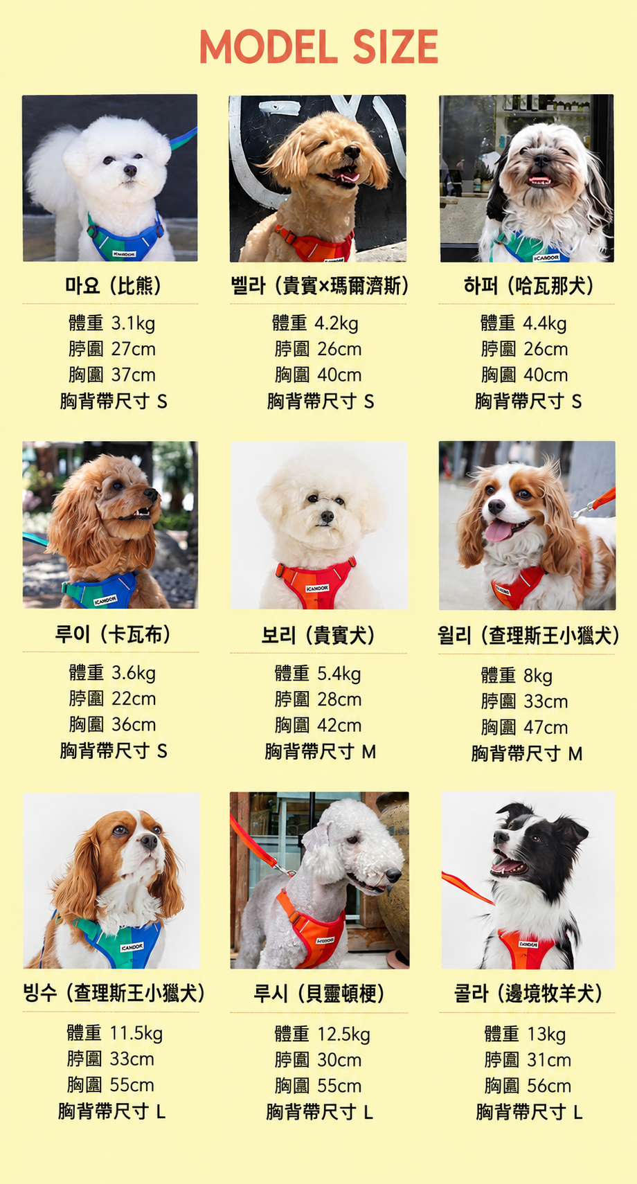 狗狗胸背帶尺寸圖鑑