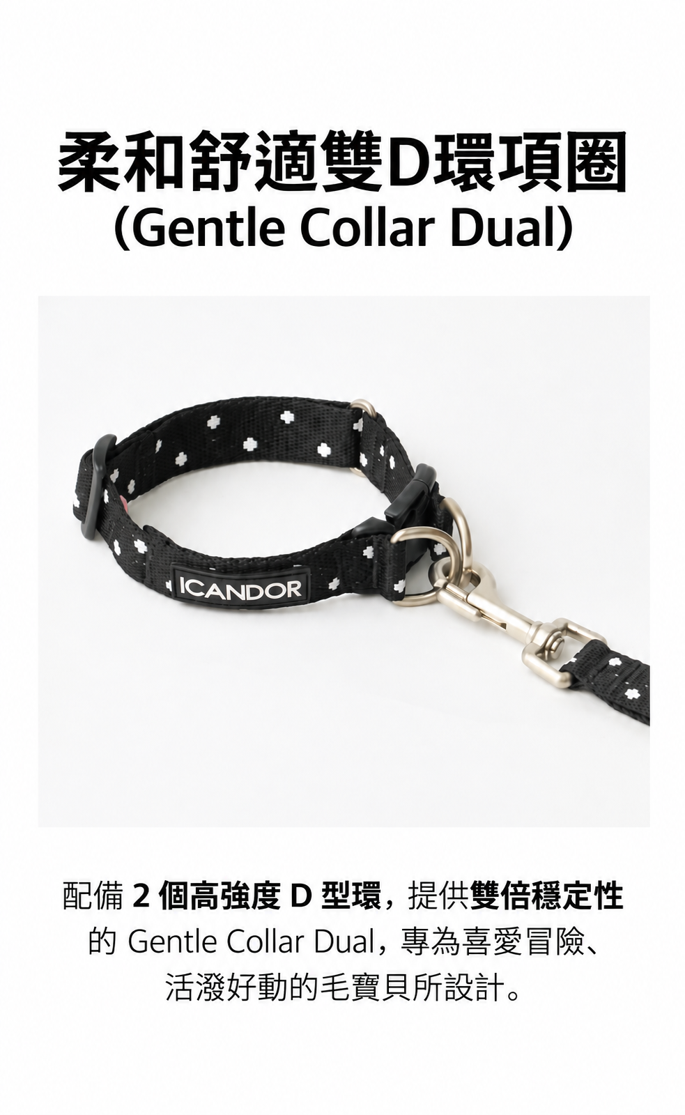 極簡雙D環波點寵物項圈廣告