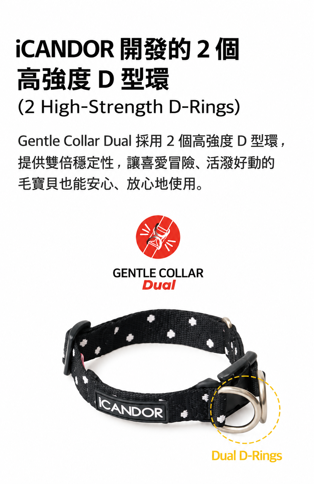 iCANDOR 雙重高強度 D 型環人體藝術