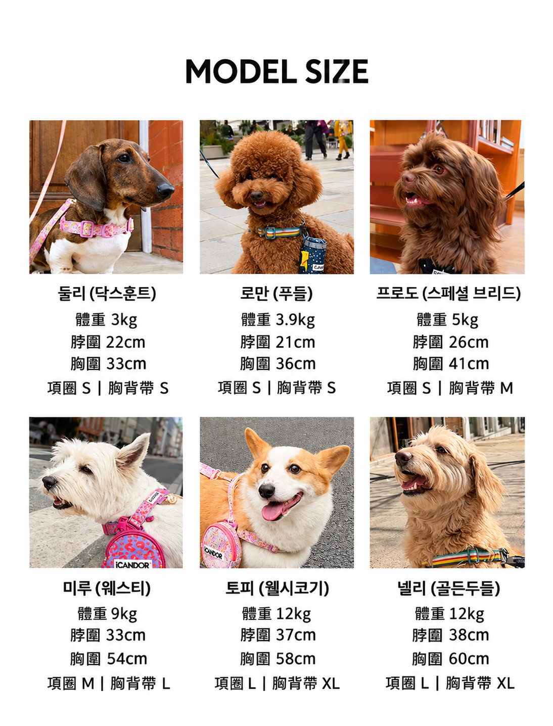 狗狗尺寸參考圖表