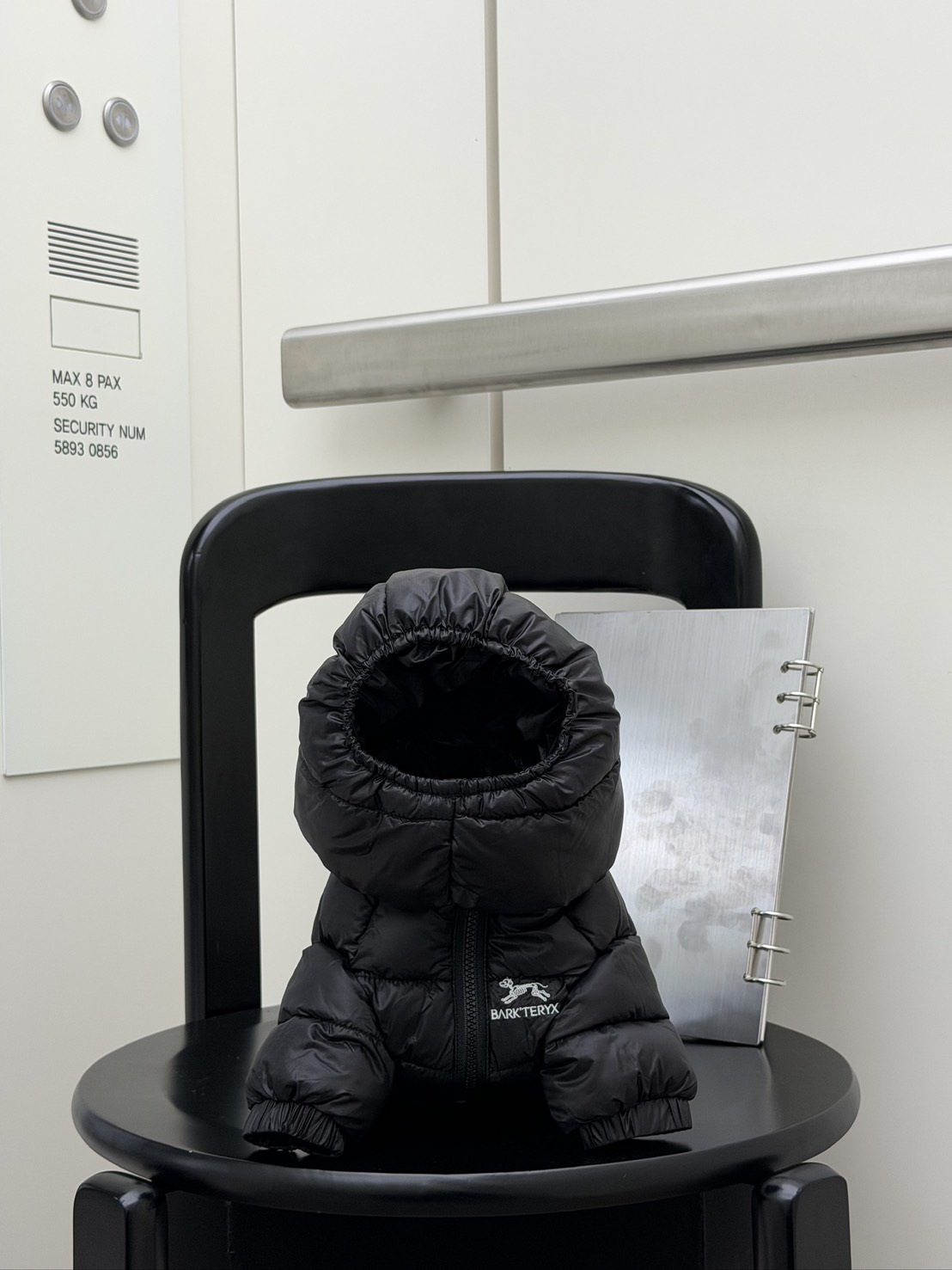 S__55558182_0