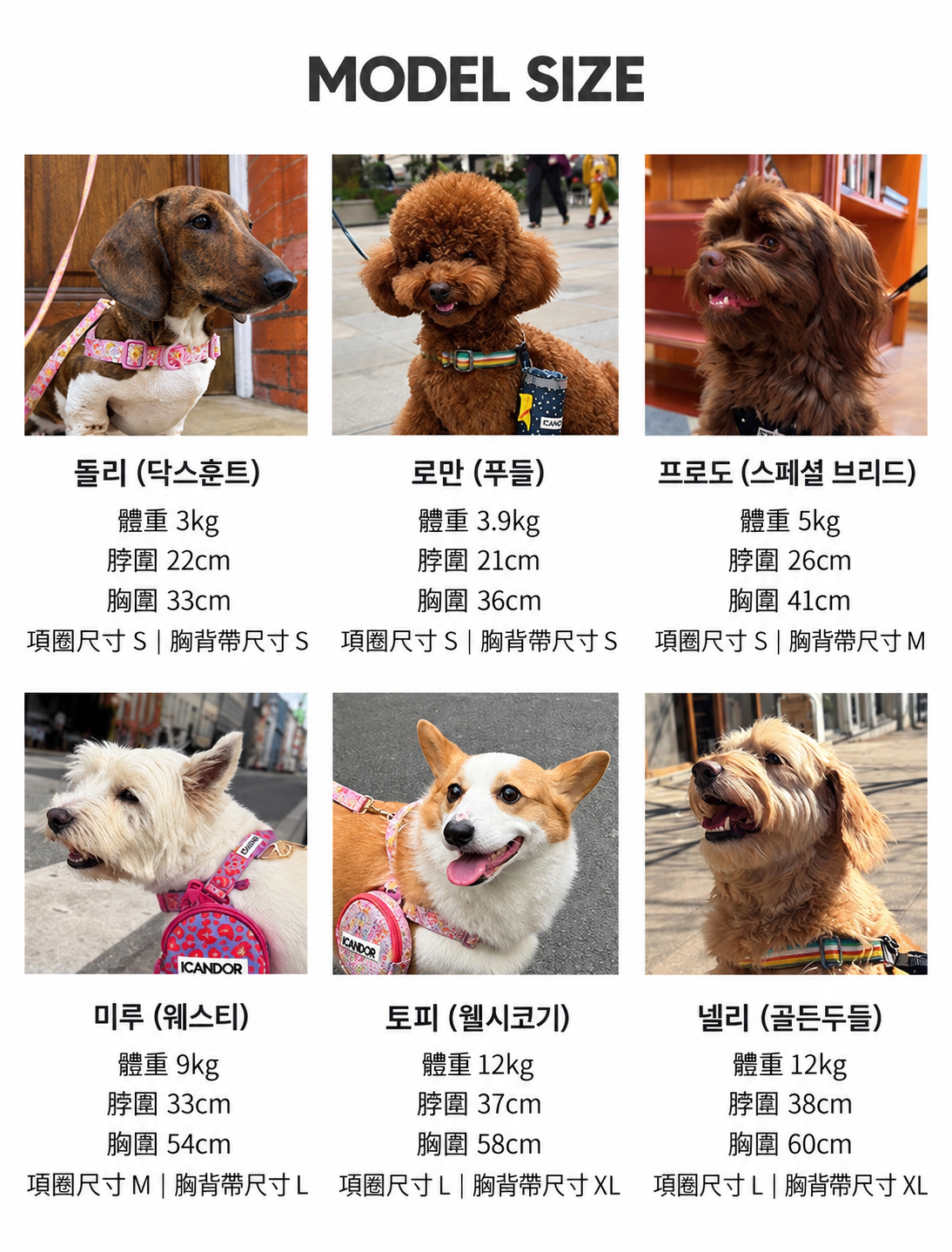 狗狗模特尺寸指南