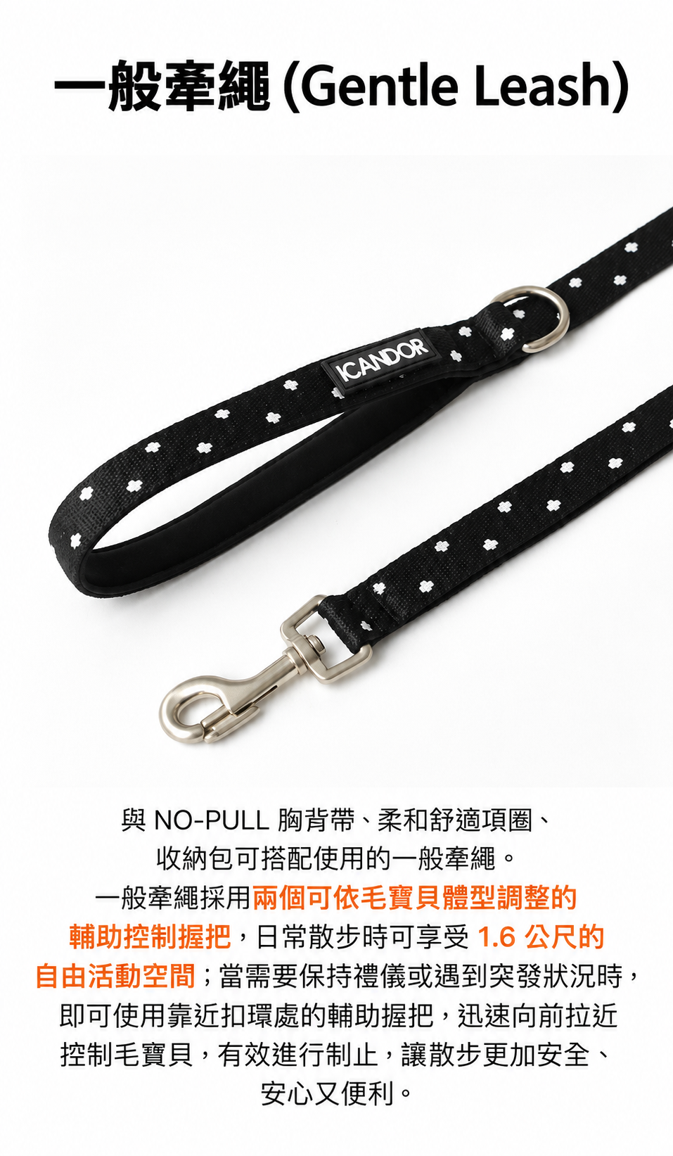 黑底白點狗狗一般牽繩產品海報