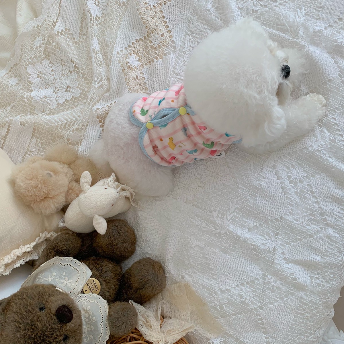 S__55574675_0