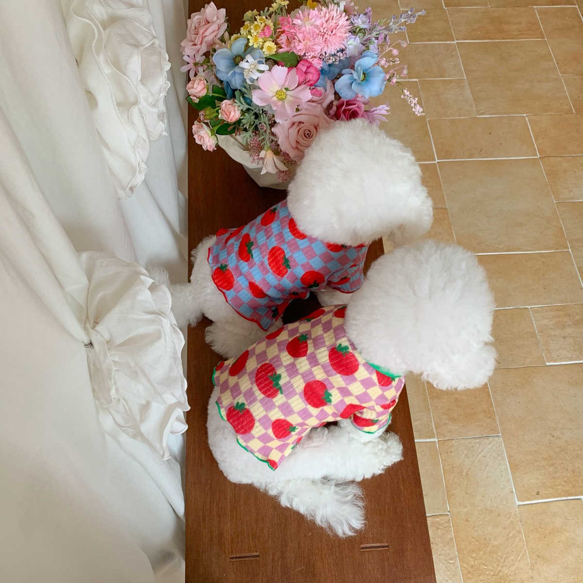 S__55574721_0