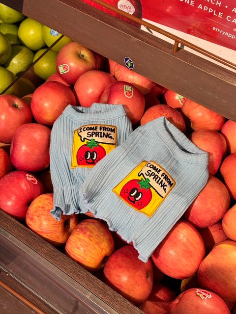 messageImage_1773649261809