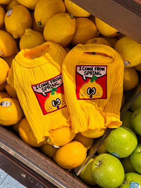 messageImage_1773649265312