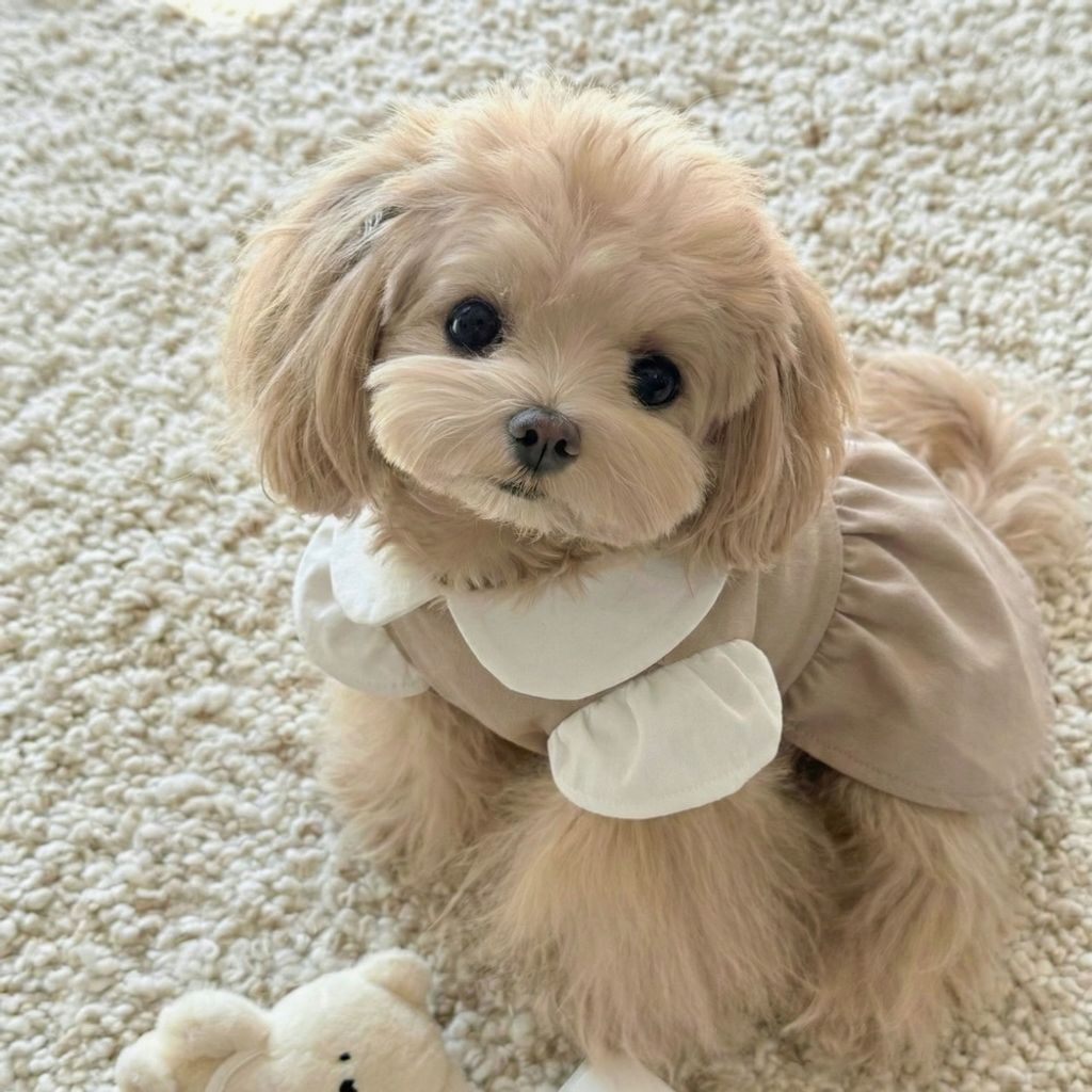 8cfb875a23748b04bcb5370868fb13b3