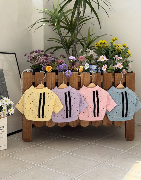 87665f05f0f4198edcdeff1eefed0533