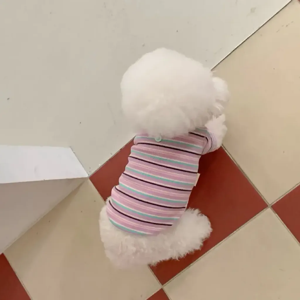 tw-11134207-820li-mlk985tdl0qtb6@resize_w900_nl