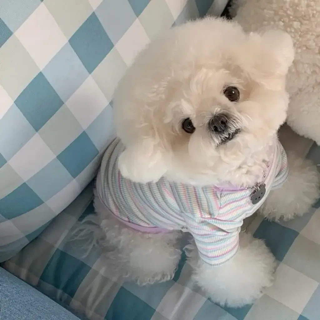 tw-11134207-820lf-mlk985tnm0p1d8@resize_w900_nl