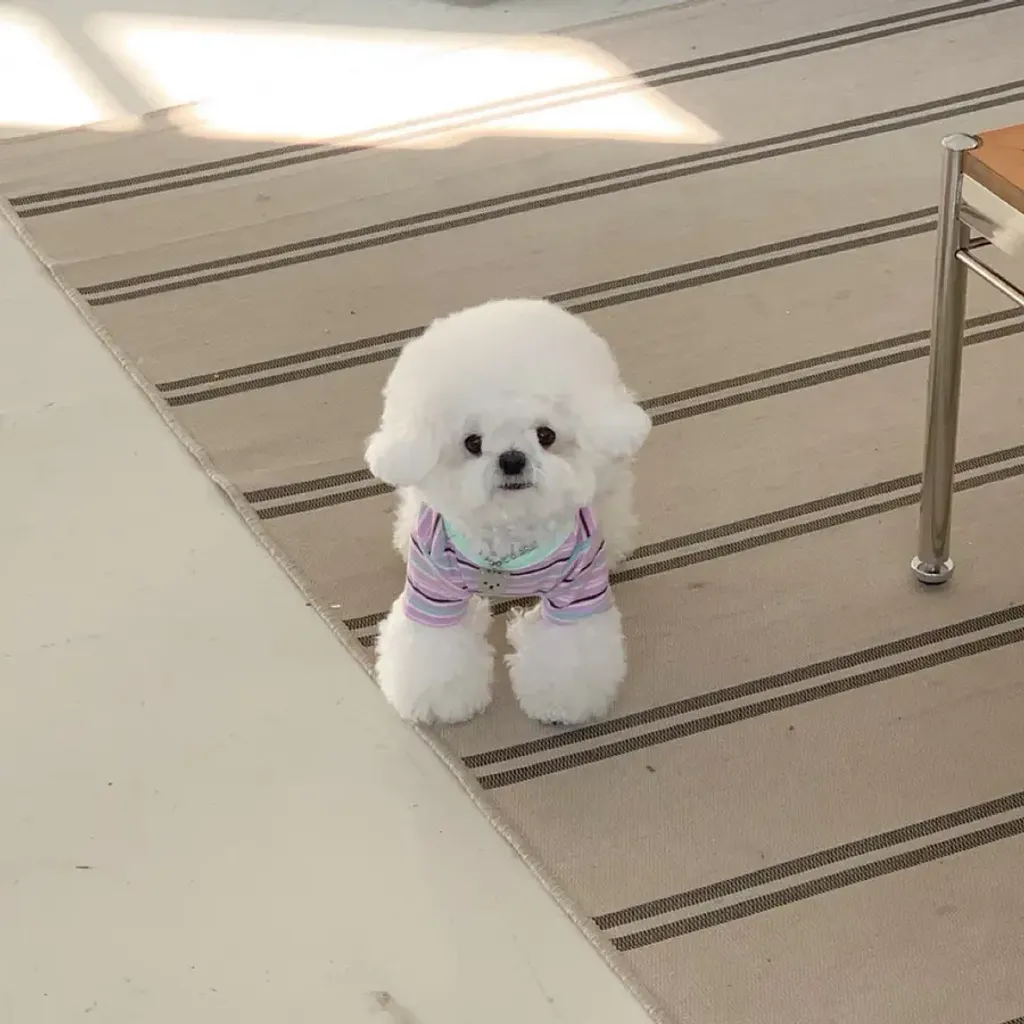 tw-11134207-820l7-mlk985rwwq336a@resize_w900_nl