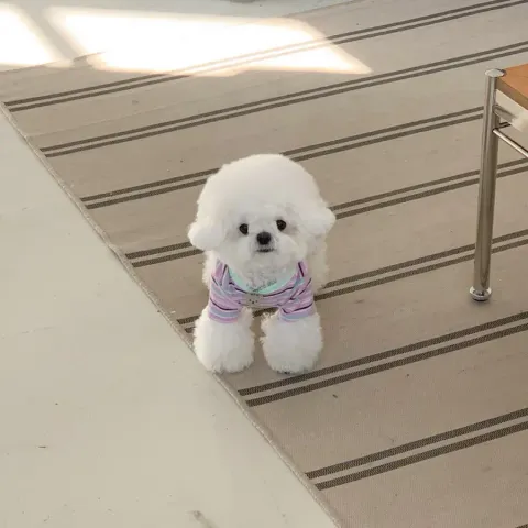 tw-11134207-820l7-mlk985rwwq336a@resize_w900_nl