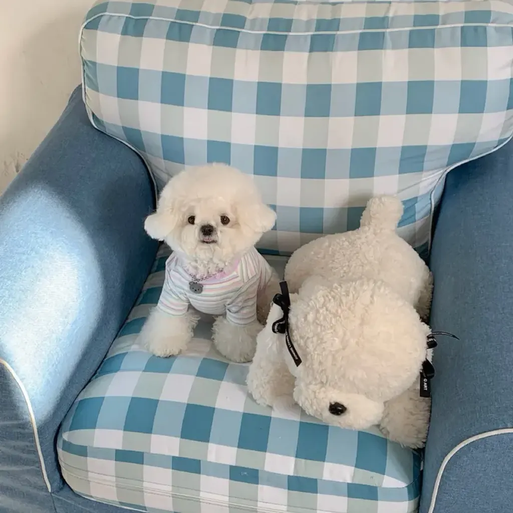 tw-11134207-820la-mlk985ue56v65f@resize_w900_nl