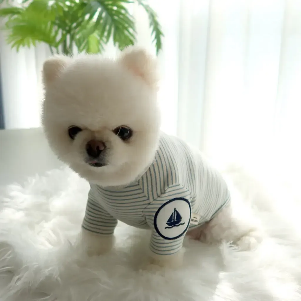 tw-11134207-820l8-mlk8r6m8krgi45