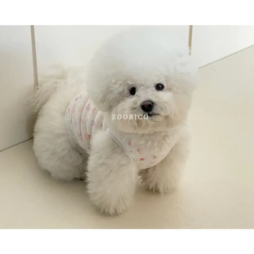 tw-11134207-820l4-ml4bfehf4a9v1a@resize_w900_nl