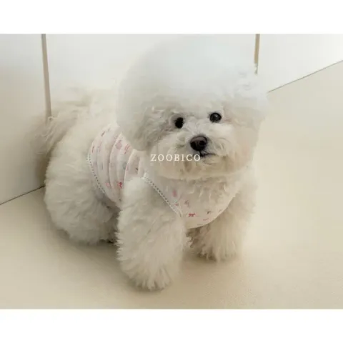 tw-11134207-820l4-ml4bfehf4a9v1a@resize_w900_nl