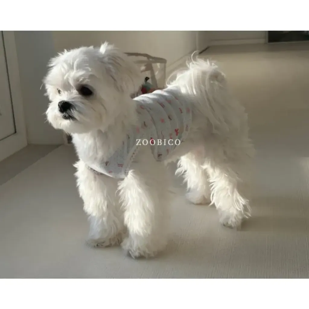 tw-11134207-820l7-ml4bfeiqokjrdb@resize_w900_nl